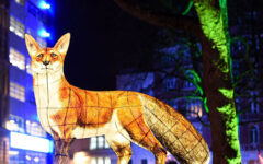 lumiere london 2018
